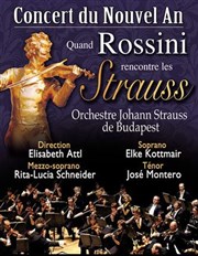 Concert du Nouvel An - Quand Rossini rencontre les Strauss Bourse du Travail Lyon Affiche