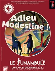 Adieu, Modestine ! Le Funambule Montmartre Affiche