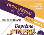 Baptême d'improvisation théâtrale Improvidence Bordeaux Affiche
