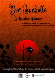 Don Quichotte Le petit Theatre de Valbonne Affiche