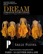 Dream | par la compagnie Julien Lestel Salle Pleyel Affiche