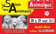 Salon Animalyus | 16 ème édition Espace Double Mixte - Hall Ici et Ailleurs Affiche