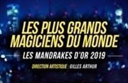 Les Mandrakes d'Or | 2019 Thtre Roger Lafaille Affiche