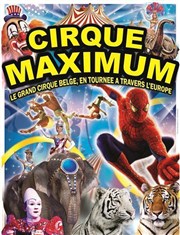 Le Cirque Maximum | - Morlaix Chapiteau Maximum  Morlaix Affiche