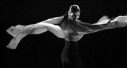 Sara Baras Ballet Flamenco Thtre des Champs Elyses Affiche