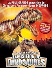 Le Musée Ephémère : les dinosaures arrivent à Lyon Eurexpo Lyon / Chassieu Affiche