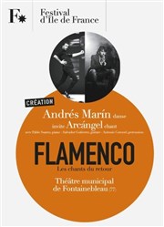 Flamenco - Les chants du retour Thtre municipal de Fontainebleau Affiche