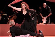La Tragédie de Carmen Théâtre des Champs Elysées Affiche