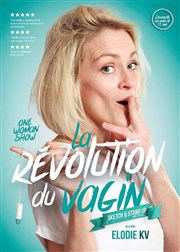 La révolution du vagin Le Violon dingue Affiche