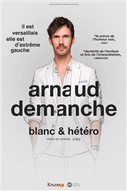 Arnaud Demanche dans Blanc et Hétéro La Comdie des Suds Affiche