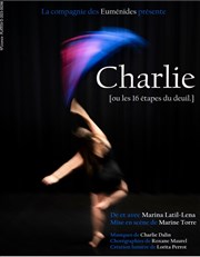 Charlie, ou les 16 étapes du deuil Théâtre La Croisée des Chemins - Salle Paris-Belleville Affiche