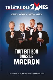 Tout est bon dans le Macron Thtre Armande Bjart Affiche