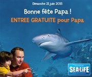 Aquarium Sealife - Bonne fête papa ! Aquarium Sealife Affiche