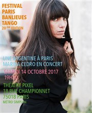 Paris Banlieue tango - Une argentine à Paris Thtre Pixel Affiche