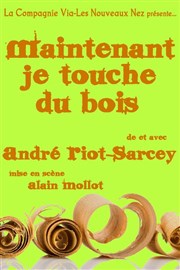 André Riot-Sarcey dans Maintenant je touche du bois Thtre de l'abbaye Affiche