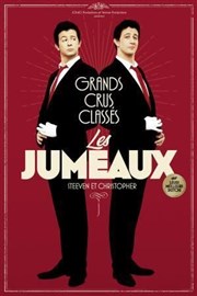 Les Jumeaux dans Grands Crus Classés Le Paris - salle 3 Affiche