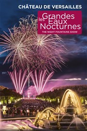 Les Grandes Eaux Nocturnes Jardin du château de Versailles - Entrée Cour d'Honneur Affiche