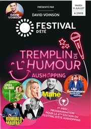 Tremplin de l'humour Festival dt - Aushopping Avignon Nord Affiche