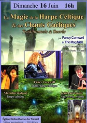 La magie de la harpe celtique & des chants gaéliques Eglise Notre-Dame du Travail Affiche