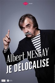 Albert Meslay dans Je délocalise Thtre Portail Sud Affiche