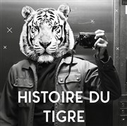 Histoire du Tigre Le Nid de Poule Affiche