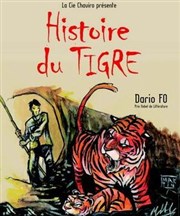 Histoire du tigre L'Art en Scne Thtre Affiche