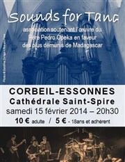 Sounds for Tana Cathdrale Saint-Spire Affiche