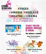 Stage théâtre, comédie musicale, Cinéma Studio International des Arts de la Scne Affiche