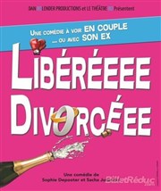 Liberéeee divorcéee Le Zygo Comdie Affiche