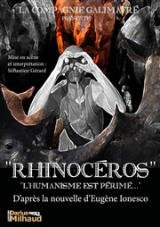 Rhinocéros Thtre Darius Milhaud Affiche
