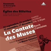 Ensemble Les Muses Galantes : Graupner / Zelenka / Bach Eglise des Billettes Affiche