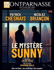 Le mystère Sunny | avec Patrick Chesnais Thtre Montparnasse - Grande Salle Affiche