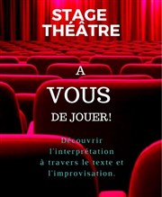 Stage Thêatre 2 Jours - Niveau 2 Comdie La Rochelle Affiche