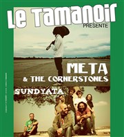 Meta & The Cornerstones + Sundyata Tamanoir Affiche