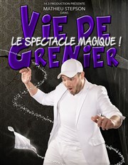 Mathieu Stepson dans Vie de Grenier La Comdie d'Aix Affiche