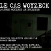 Le cas Woyzeck La Loge Affiche