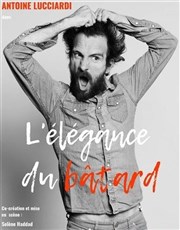 Antoine Lucciardi dans L'élégance du bâtard L'Appart Café - Café Théâtre Affiche