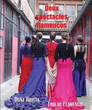 Deux spectacles flamencos Thtre El Duende Affiche