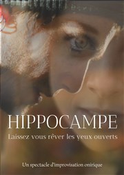 Hippocampe Improvidence Affiche