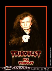 Pierre Triboulet dans Triboulet par Triboulet La Cantada ll Affiche