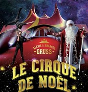 Cirque de Noël 2018 Chapiteau du Cirque Alexis & Anargul Gruss  Saint Jean de Braye Affiche