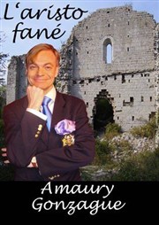 Amaury Gonzague dans L'aristo fané Cabaret L'Entracte Affiche