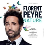 Florent Peyre dans Nature Gare du Midi Affiche