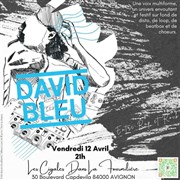 David Bleu en concert Caf culturel Les cigales dans la fourmilire Affiche