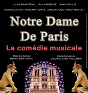 Notre-Dame de Paris Thtre Lavigne Affiche