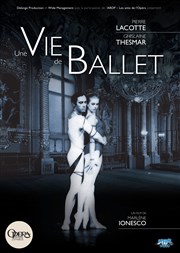 Une vie de Ballet Thtre du Petit Parmentier Affiche