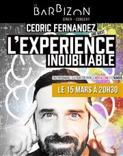 Cédric Fernandez dans L'expérience inoubliable Le Barbizon Affiche
