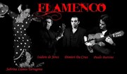 Flamenco à la péniche Anako La Pniche Anako Affiche