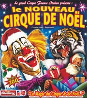 Cirque de Noël Cirque de Nol  Angers Affiche
