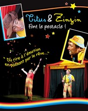 Titus et Zinzin font le pestacle Théâtre des Préambules Affiche